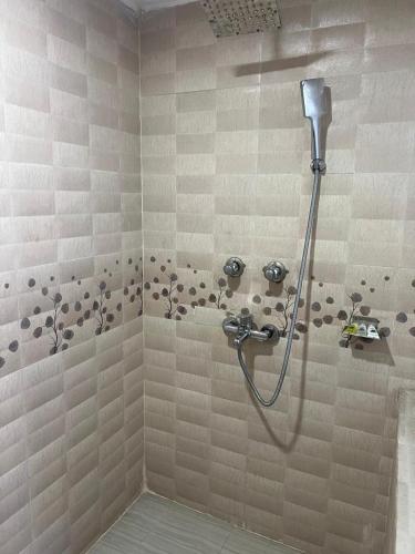 a shower in a bathroom with a shower at Hotel Blue Castle International in Pāksey