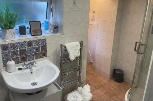a bathroom with a sink and a shower at 1 Bed Victorian flat Sleeps 4 - Garden & Patio in London