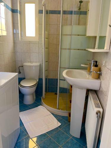 a bathroom with a toilet and a sink and a shower at Mesogaia Home Near ATH Airport in Markopoulo