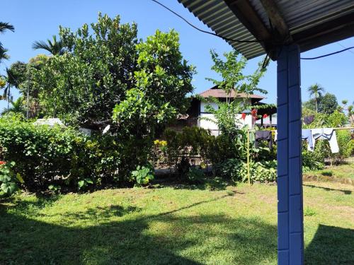 a view of the house from the yard at Sylvan homestay mawlynnong in Mawlynnong