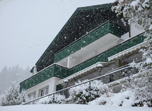 Una casa en la nieve con nieve cayendo en Alpstay - Chalet Hotel Hartmann - Adults Only, en Ortisei