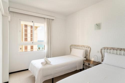 AA Guest - SandBeach Front Sea Views Eco Apartment