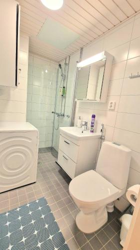 a bathroom with a toilet and a sink and a shower at Kotoisa Kaksio Levähdä Täällä ja Parkki in Lahti