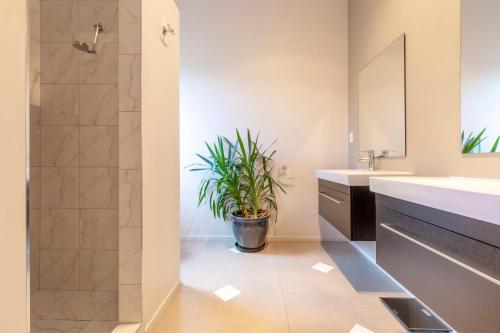 a bathroom with a shower and a potted plant at Hatuma Paradise in  Waipukurau
