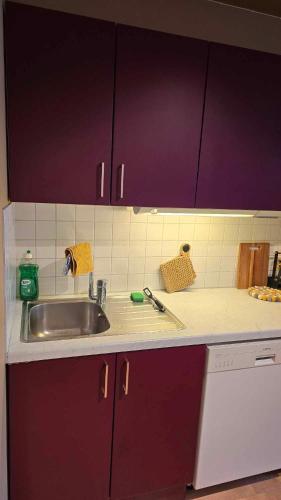 a kitchen counter with a sink and purple cabinets at The Guest Apartment in Tromsø