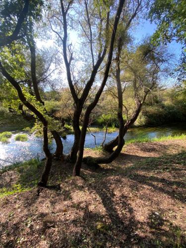 Vila Blue River
