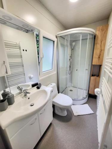 a bathroom with a sink and a toilet and a shower at Resort na jasi in Zreče