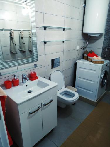 a bathroom with a sink and a toilet and a mirror at TaraApartment in Skopje