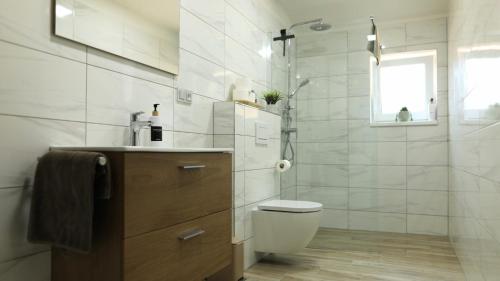 a bathroom with a toilet and a sink and a shower at Petříkovy Apartmány in Bulhary