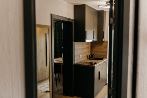 eine kleine Küche mit einer Spüle und einer Theke in der Unterkunft Rădăcini in Câmpulung Moldovenesc