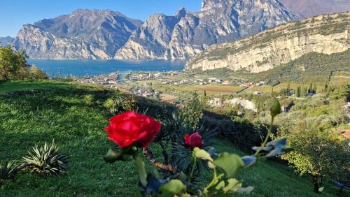 ナーゴ・トルボレにあるAppartamenti Nido d'Aquila - Garda Lake Viewのギャラリーの写真
