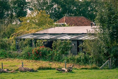 a house with a roof in a field at Logement de Appelgaard in Culemborg