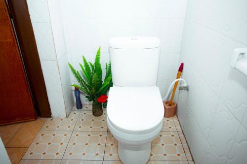 een wit toilet in een badkamer met een plant bij Cozy 3 bedroom house in Huye
