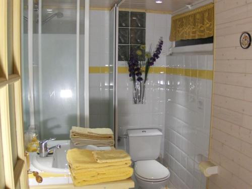 een badkamer met een toilet en een wastafel met handdoeken bij Chambre d'hôtes Au Canal in Illkirch-Graffenstaden