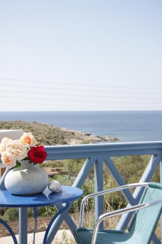メガス・イアロス・ニテスにあるManos Apartmentsの花瓶