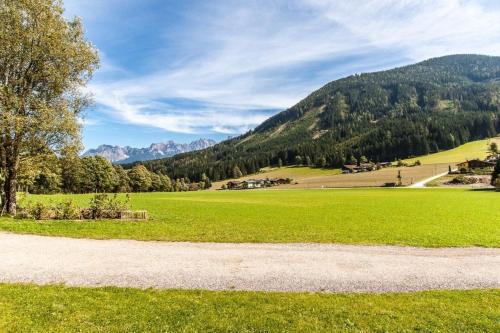 a path in a field with mountains in the background at Bauernhaus Lammertal in Sankt Martin am Tennengebirge