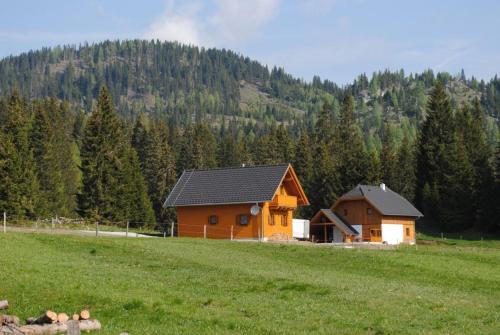 a house in the middle of a field with trees at Hüttendorf Flattnitz - Typ C in Flattnitz