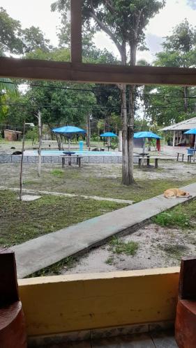 eine Katze, die in einem Park auf dem Boden liegt in der Unterkunft Sítio fortaleza in Salvaterra