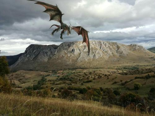 a bird flying over a field with a mountain at Remote Tiny House Retreat in Rimetea