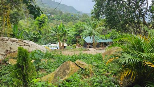 Příroda nedaleko chaty