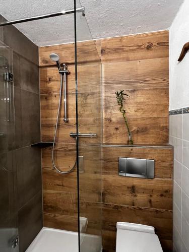 a bathroom with a shower with a wooden wall at Appartementhaus Schirsner - direkt am See & am Kurpark in Schliersee