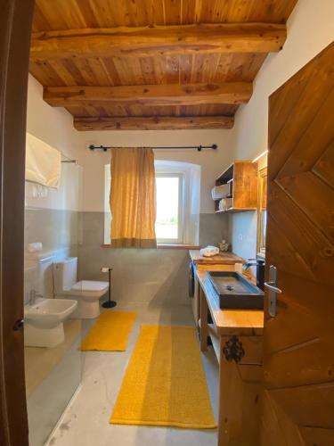 a bathroom with a sink and a toilet in a room at AGRITURISMO MODOLO Belluno Dolomiti in Belluno