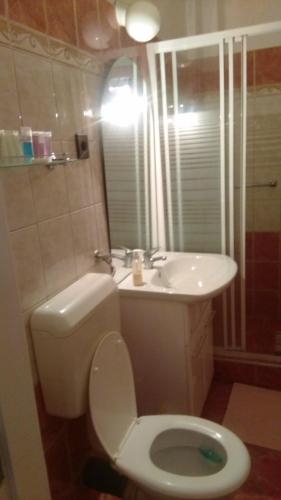 ein Badezimmer mit Toilette und Waschbecken in der Unterkunft Park Apartman in Hajdúszoboszló