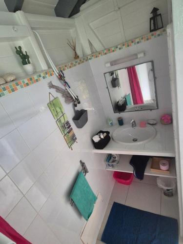une salle de bain avec un lavabo et un miroir dans l'établissement Fleur d'Hibiscus, à Saint-Louis