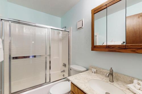 a bathroom with a shower and a toilet and a sink at Buffalo Ridge C302 in Silverthorne