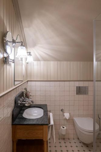 un bagno con lavandino e WC di Krusenberg Herrgård a Krusenberg