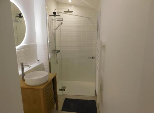 a bathroom with a shower with a sink and a toilet at maison Amboise in Limeray