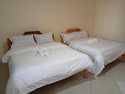 Ảnh trong thư viện ảnh của Sironosim Garden Hotel ltd ở Oloitokitok 