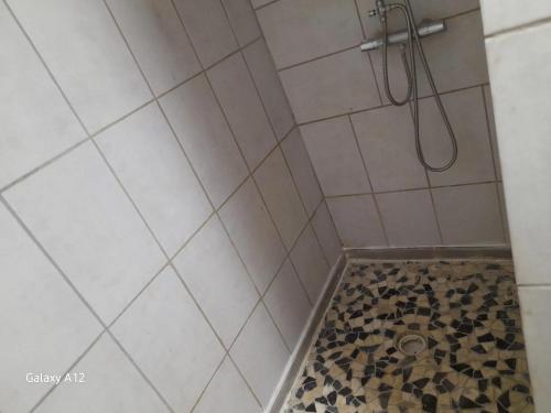a bathroom with a shower with a tiled floor at Maison agréable à Bellerive-sur-Allier 70 m² in Charmeil