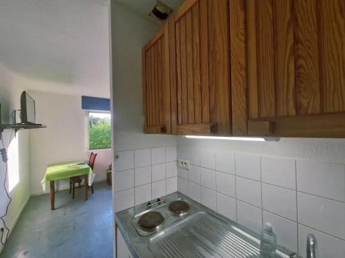 a kitchen with a sink and wooden cabinets at Studio confortable avec vue sur la ville à Dole, 25 m² in Dole