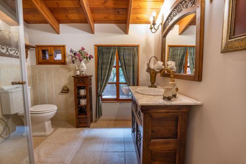 a bathroom with a toilet and a sink and a mirror at אחוזת בר in Sha'al