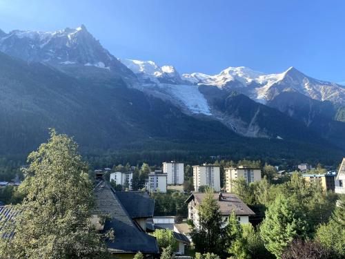 Charmant studio Chamonix