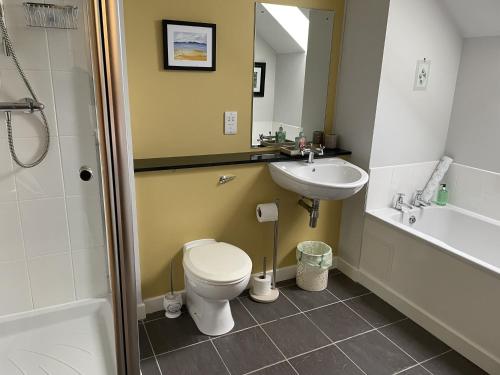 a bathroom with a toilet and a sink at Cottage 7 - Skye Cottage in Fort Augustus