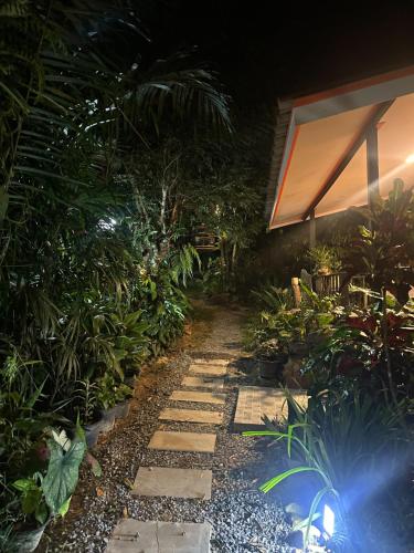 a garden at night with plants and a pathway at Chalee Guest House in Ban Khlong Mat