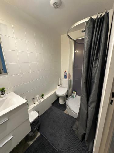 a bathroom with a toilet and a sink and a shower at Charmant studio à Paris in Courbevoie