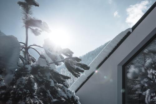 a view of a snow covered mountain with a palm tree at MYALPS Tirol inklusive Sky- Wellness in Oetz