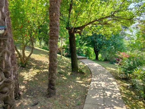 Κήπος έξω από το Villa Amabel