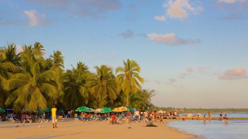 un groupe de personnes sur une plage avec des palmiers dans l'établissement Marvilla - Coastal Condo Poolside & Ocean View, à Boca Chica