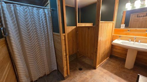 a bathroom with a shower and a sink at The Alderwood Lodge 
