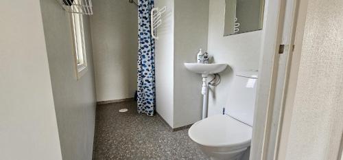a small bathroom with a toilet and a sink at Cottage on Mjorn only 300m from the sea in Dyvik
