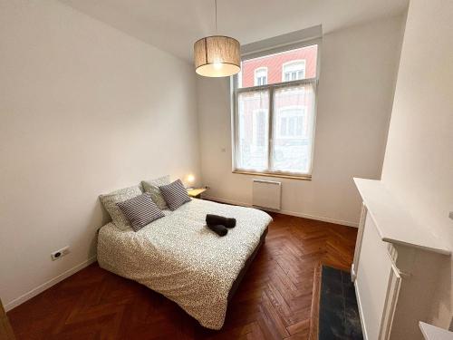 a living room with a couch and a window at Charmant T2 en RDC Centre Douai Netflix in Douai