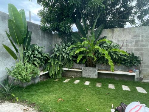 Aed väljaspool majutusasutust Casa Grande 3 hab Fresca