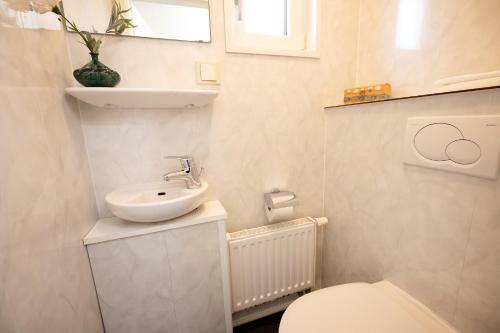 a white bathroom with a sink and a toilet at Ferienhaus Mellumplate 08 in Dorum Neufeld