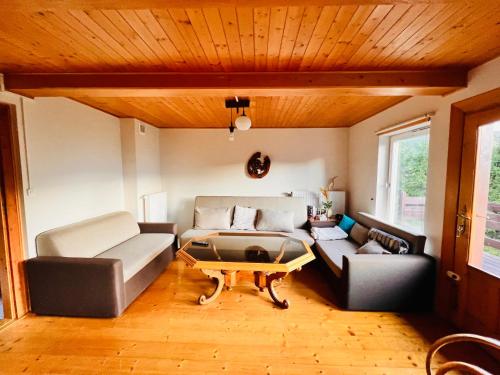 a living room with two couches and a coffee table at Świerkowa Chata in Targanice