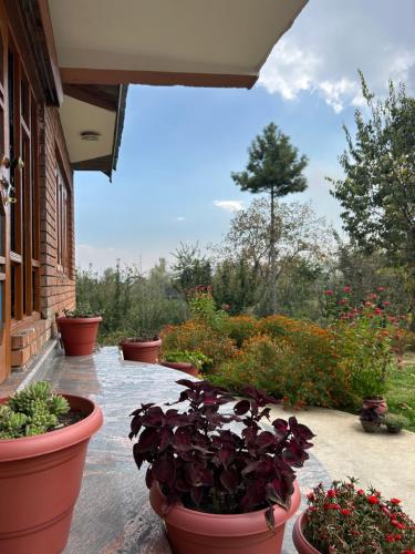 a group of potted plants sitting outside of a building at The Mool Farm and Living in Tangmarg