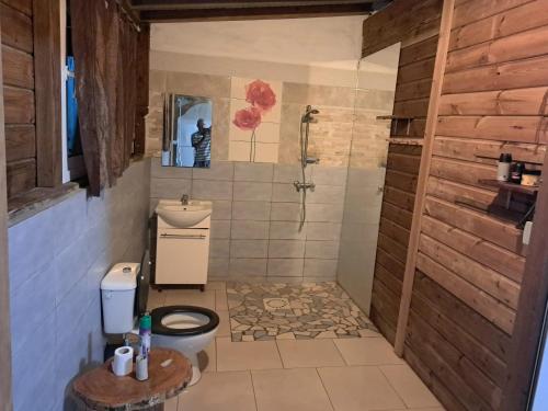 a bathroom with a shower and a toilet and a sink at Bungalow cosy à Sainte-Anne avec jardin in Sainte-Anne